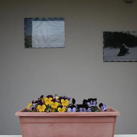 Cirelli Bed & Breakfast